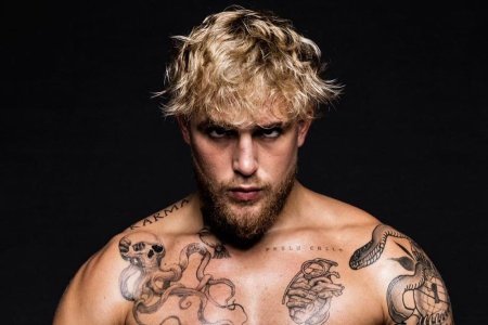 جيك باولا - مدون الملاكمة، ما الأخبار، متى ستكون المعركة القادمة